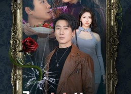 短剧《入了她的局（32集）》精彩短剧在线全集看