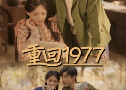短剧《重回1977（71集）》短剧免费在线看全集