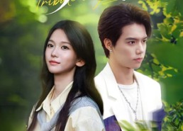 短剧《野心家（65集）》超火短剧在线免费追