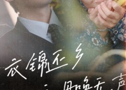 短剧《衣锦还乡之母唤无声（60集）》在线短剧免费全集直看