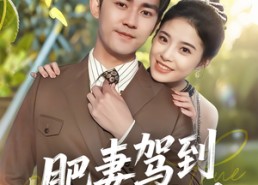 短剧《肥妻驾到接招吧老公（70集）》短剧高清全集免费播