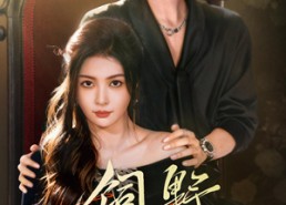 短剧《饲野（60集）》免费短剧全集畅享观看