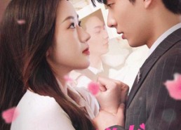 短剧《苏秘书为何那样（96集）》短剧热门全集免费赏