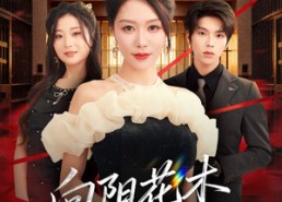 短剧《新：向阳花木易为春（72集）》短剧高清全集在线享