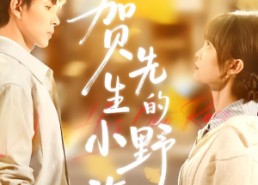 短剧《贺先生的小野玫瑰（99集）》优质短剧完整免费观赏