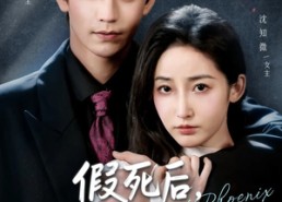 短剧《替身掉马后，傅爷连夜清算（78集）》精彩短剧免费全集欣赏