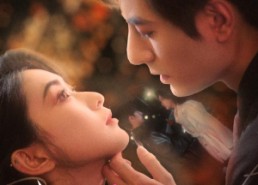 短剧《京栀玉叶（85集）》热门短剧全集免费看