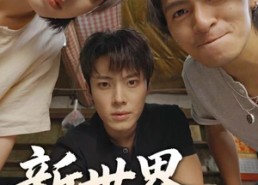 短剧《新世界：城寨双雄（58集）》经典短剧免费全集直看