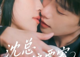 短剧《沈总他偏要宠（75集）》短剧免费畅享全集剧