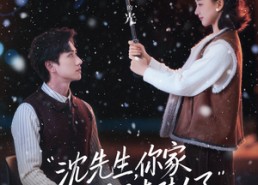 短剧《沈先生，你家小保姆又去怼人了（82集）》短剧全集高清免费观