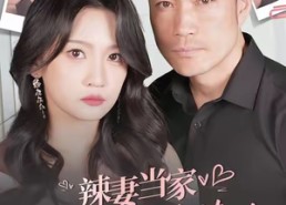 短剧《辣妻当家，我只听老婆的（50集）》短剧热播免费在线看