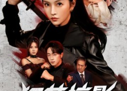 短剧《狂花掠影（53集）》热门短剧在线免费追