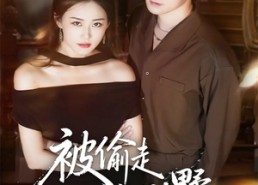 短剧《被偷走的别墅（60集）》热门短剧在线流畅播放