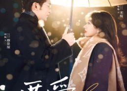 短剧《雾散之后是晴》精彩短剧无广告在线看