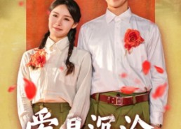 短剧《爱是沉沦亦是自由（67集）》短剧在线畅享全集