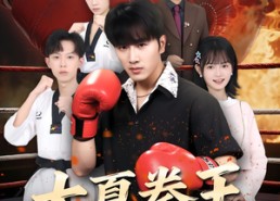 短剧《大夏拳王（80）》精彩短剧免费全集览