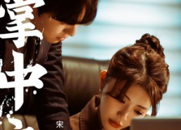 短剧《掌中之物：宋总娶娇妻可知错（97集）》短剧免费高清全集在线观