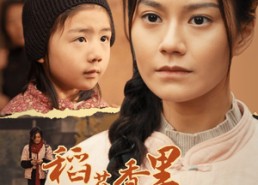 短剧《稻花香里说丰年（60集）》高清短剧完整版在线