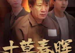 短剧《寸草春晖（31集）》短剧全集免费高清看