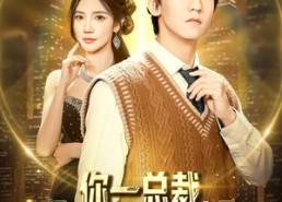 短剧《你一总裁，有事不找男主找我了（80集）》短剧无广告全集在线赏