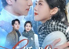 短剧《闪婚成宠（95集）》短剧高清全集在线览