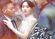 短剧《今宵尽欢颜（99集）》畅享高清短剧全集资源