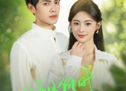 短剧《明月何时照他还（73集）》精彩短剧在线免费欣赏