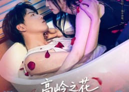 短剧《高岭之花今天顾盼垂青了吗（82集）》免费短剧完整版在线赏