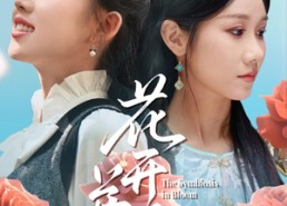 短剧《花开并蒂（70集）》精彩短剧完整版在线赏播