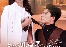 短剧《简总别动心我们只是契约婚姻（100集）》短剧百集在线免费观赏