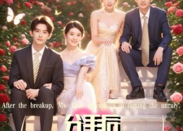 短剧《分手后乔小姐专治不服（51集）》高分短剧全集在线播