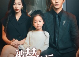 短剧《被替身后她杀疯了（72集）》短剧全集免费畅享观看