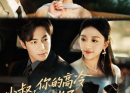 短剧《小叔，你的高冷人设崩了（50集）》短剧热门免费在线畅享