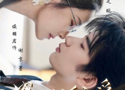 短剧《盛大的偏爱（77集）》短剧在线免费全集直看