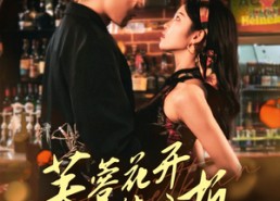 短剧《芙蓉花开待君折（75集）》完整短剧资源在线享