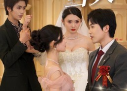 短剧《婚礼当天（30集）》短剧高清在线流畅播放