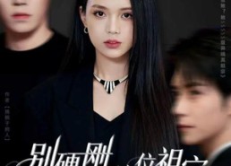 短剧《别硬刚这位祖宗你真惹不起（87集）》高能短剧在线免费看全集