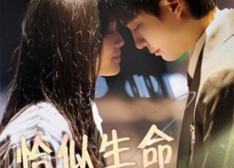 短剧《恰似生命一道光（60集）》超燃短剧全集免费看