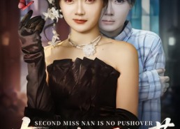 短剧《南二小姐不好惹（65集）》短剧高清全集免费畅看