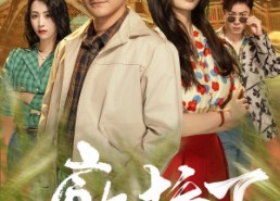 短剧《廊桥下捡了个千亿富豪（80集）》短剧免费在线全集速看