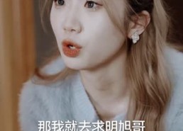 短剧《总裁老公求复合（100集）》百集短剧免费在线享