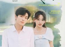 短剧《再见爱人（81集）》短剧高清免费全集收看