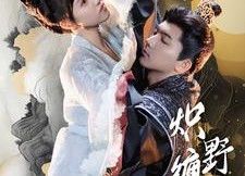 短剧《炽野缠情（95集）》优质短剧免费全集速览