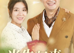 短剧《半生归来与君逢（63集）》经典短剧免费全集览