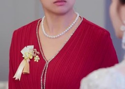 短剧《可怜慈母心（36集）》短剧完整版免费观看