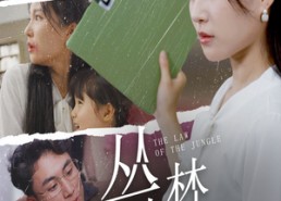 短剧《丛林法则（29集）》精彩短剧免费在线阅