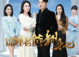 短剧《锦鲤老爸翻身记（30集）》热门短剧全集免费畅享