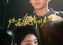 短剧《她说爱情回来过（86集）》免费短剧全集畅享