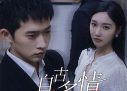 短剧《人生若只如初见（63集）》短剧免费全集在线速看