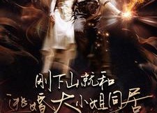 短剧《刚下山就和逃婚大小姐同居（90集）》短剧无广告免费全集观